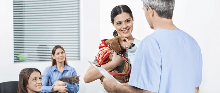 Chien chez le vétérinaire